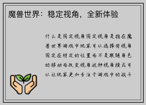 魔兽世界：稳定视角，全新体验